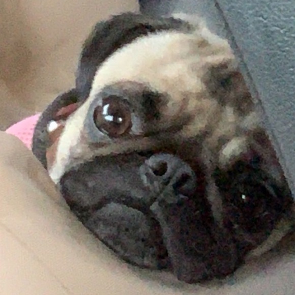 Meet your Posher, Katherine - Picture 2 of 2